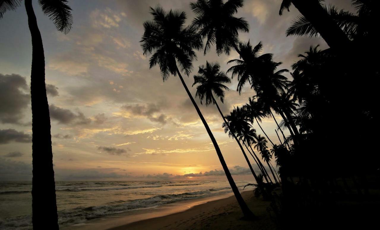 Maaha Beach Resort Anochi Eksteriør bilde